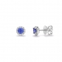 Tanzanite & diamond cluster stud earrings in 18ct white gold, 2558