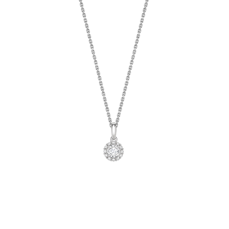 Brilliant cut diamond claw set halo pendant in 18ct white gold, 702